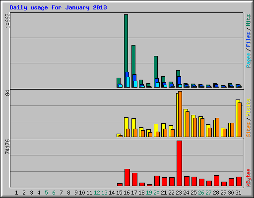 Daily usage for January 2013