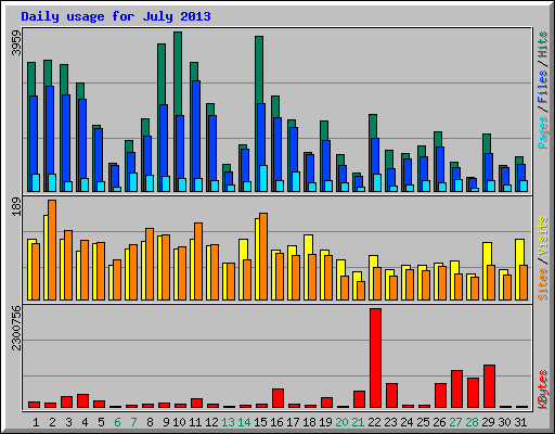 Daily usage for July 2013