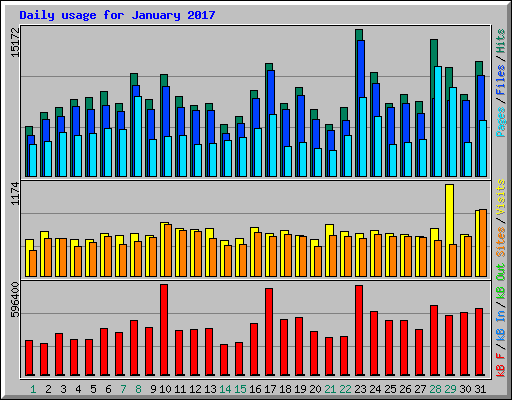 Daily usage for January 2017