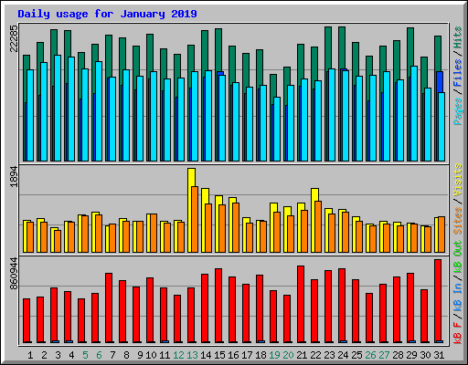 Daily usage for January 2019