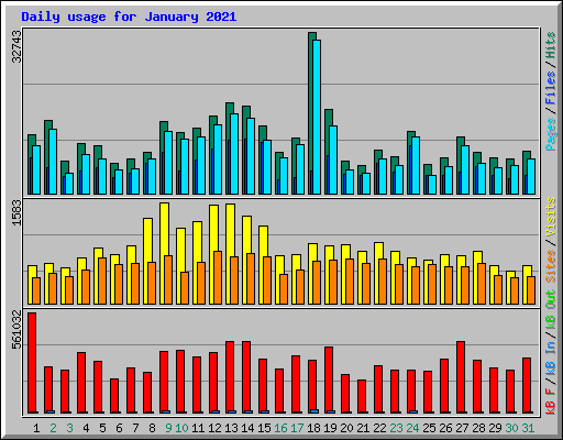 Daily usage for January 2021