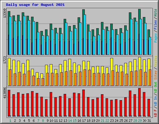 Daily usage for August 2021
