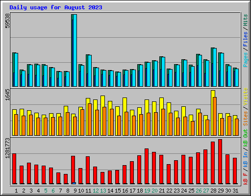 Daily usage for August 2023