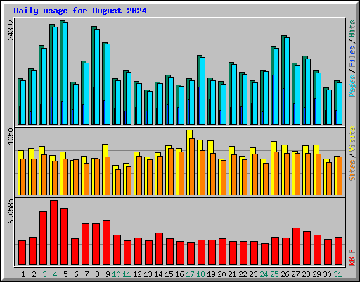 Daily usage for August 2024