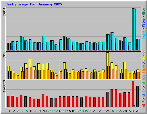 Daily usage for January 2025