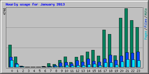 Hourly usage for January 2013