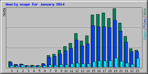Hourly usage for January 2014
