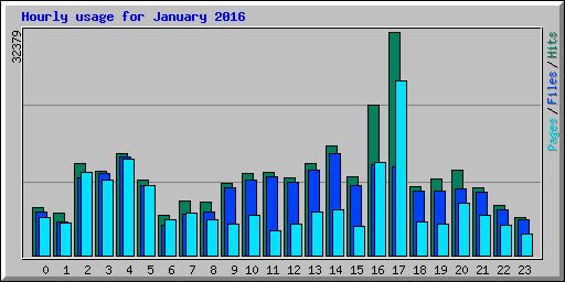 Hourly usage for January 2016