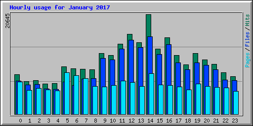 Hourly usage for January 2017