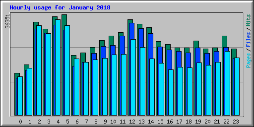 Hourly usage for January 2018
