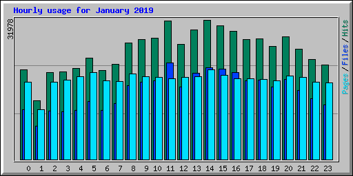 Hourly usage for January 2019