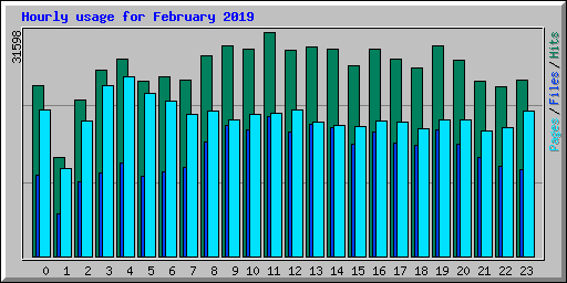 Hourly usage for February 2019