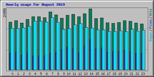 Hourly usage for August 2019