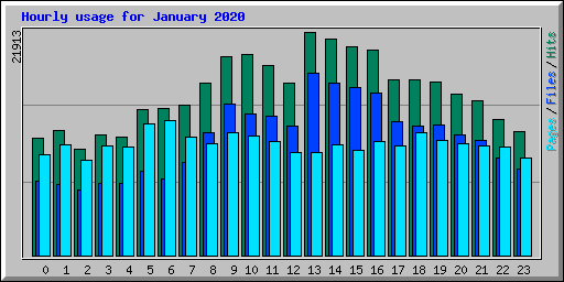 Hourly usage for January 2020