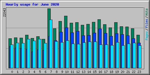 Hourly usage for June 2020
