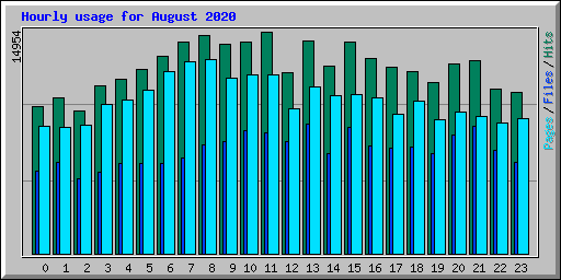 Hourly usage for August 2020