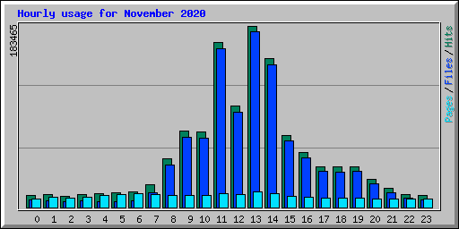Hourly usage for November 2020