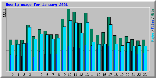 Hourly usage for January 2021