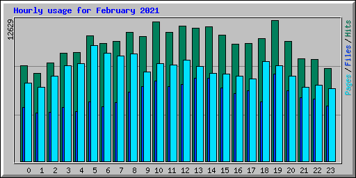 Hourly usage for February 2021