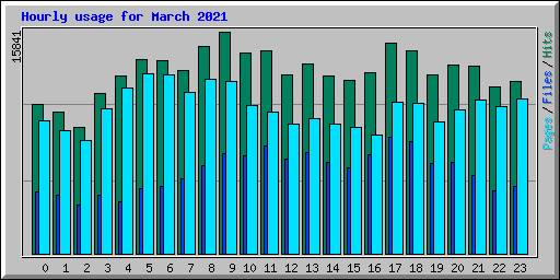 Hourly usage for March 2021