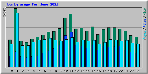 Hourly usage for June 2021
