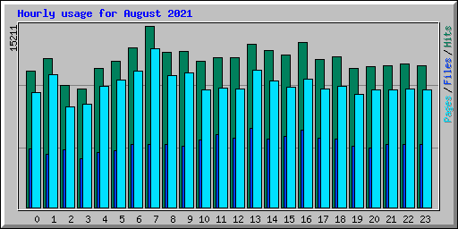 Hourly usage for August 2021