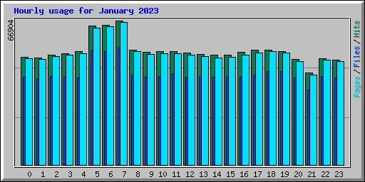 Hourly usage for January 2023