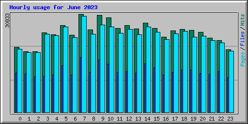 Hourly usage for June 2023