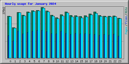 Hourly usage for January 2024