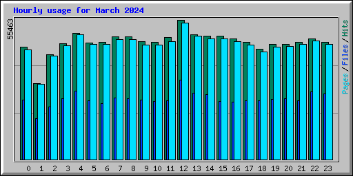 Hourly usage for March 2024