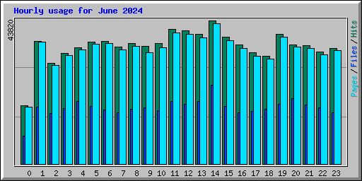 Hourly usage for June 2024