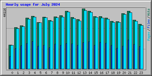 Hourly usage for July 2024