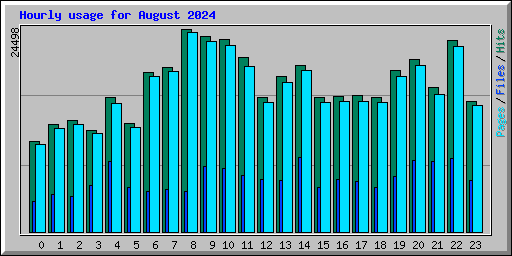 Hourly usage for August 2024