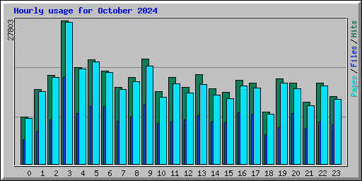 Hourly usage for October 2024