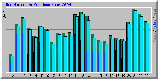 Hourly usage for December 2024