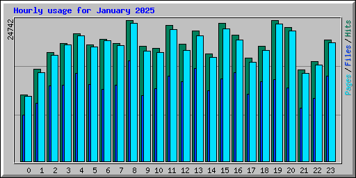 Hourly usage for January 2025