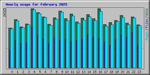 Hourly usage for February 2025
