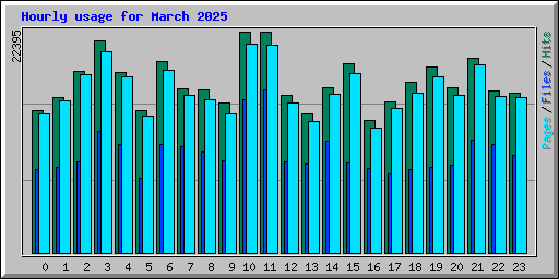 Hourly usage for March 2025