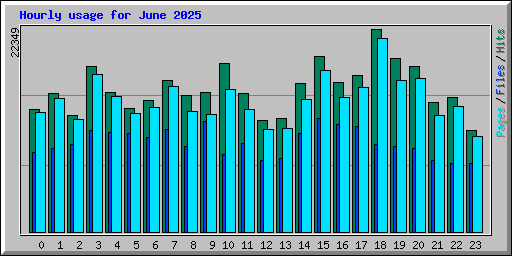 Hourly usage for June 2025