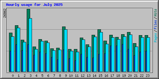 Hourly usage for July 2025