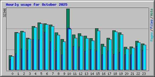 Hourly usage for October 2025