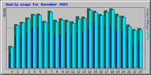 Hourly usage for December 2025
