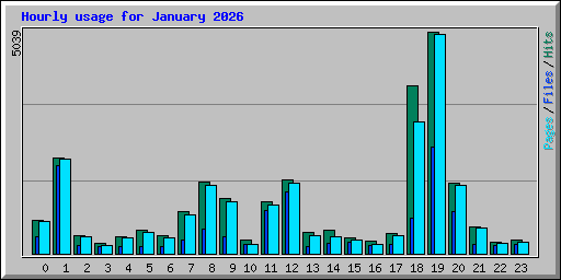 Hourly usage for January 2026