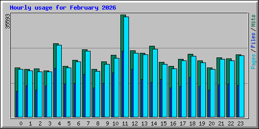 Hourly usage for February 2026